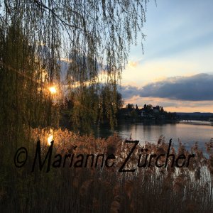 Sonne am Rhein