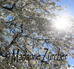 Karte Frühlingserwachen